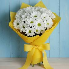 Букет цветов из:  Хризантемы в Первомайском Челябинской области