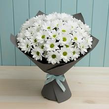 Букет цветов из:  Хризантемы в Первомайском Челябинской области