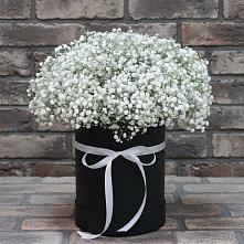 Цветочная композиция из Гипсофила в шляпной коробке в Первомайском Челябинской области