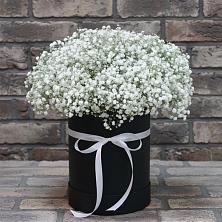 Цветочная композиция из Гипсофила в шляпной коробке в Первомайском Челябинской области