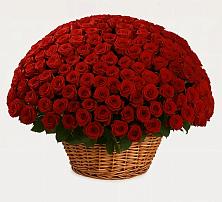 Премиум букет из: Розы в Первомайском Челябинской области